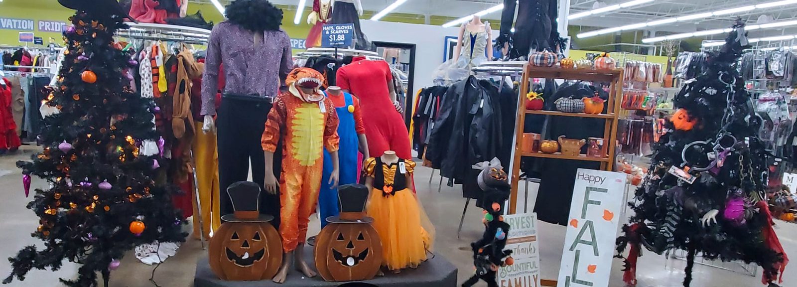 A view of Halloween Headquarters at the Marion Goodwill Store.